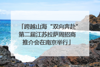 跨越山海“双向奔赴” 第二届江苏拉萨周招商推介会在南京举行