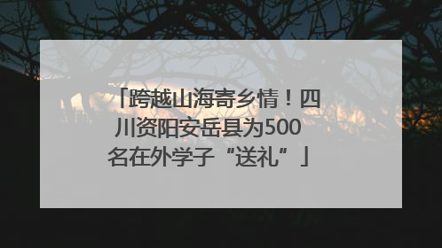 跨越山海寄乡情！四川资阳安岳县为500名在外学子“送礼”