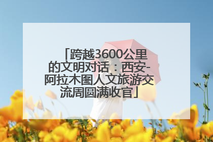 跨越3600公里的文明对话：西安-阿拉木图人文旅游交流周圆满收官