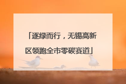逐绿而行，无锡高新区领跑全市零碳赛道