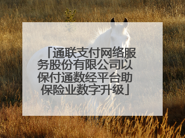 通联支付网络服务股份有限公司以保付通数经平台助保险业数字升级