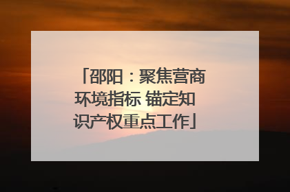 邵阳：聚焦营商环境指标 锚定知识产权重点工作