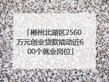 郴州北湖区2560万元创业贷款撬动近600个就业岗位