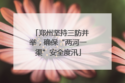郑州坚持三防并举，确保“两河一渠”安全度汛