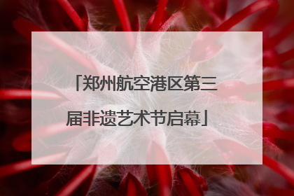 郑州航空港区第三届非遗艺术节启幕