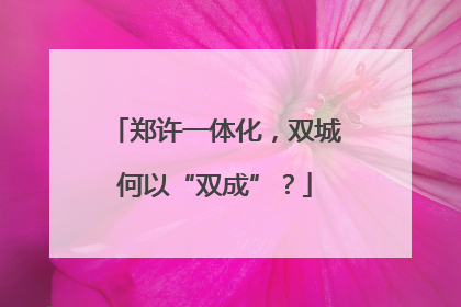 郑许一体化，双城何以“双成”？