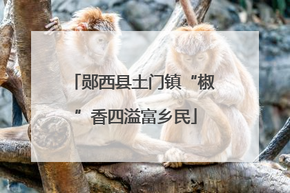 郧西县土门镇“椒”香四溢富乡民