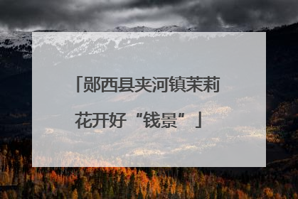 郧西县夹河镇茉莉花开好“钱景”