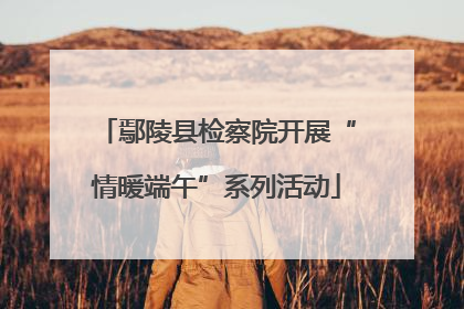 鄢陵县检察院开展“情暖端午”系列活动