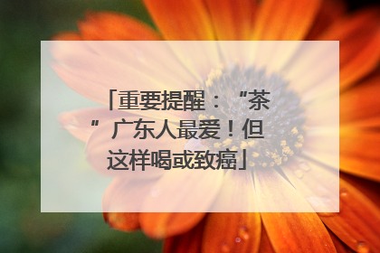 重要提醒：“茶”广东人最爱！但这样喝或致癌