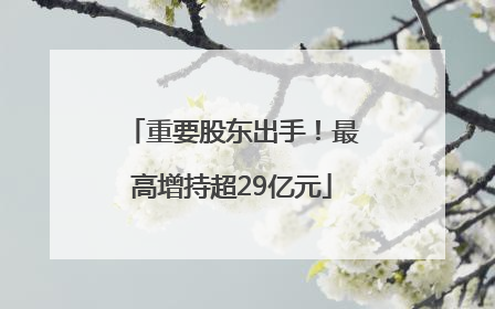 重要股东出手！最高增持超29亿元