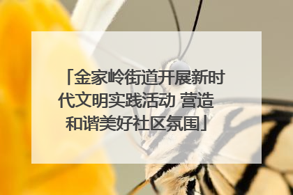 金家岭街道开展新时代文明实践活动 营造和谐美好社区氛围
