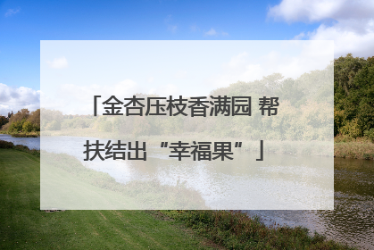 金杏压枝香满园 帮扶结出“幸福果”