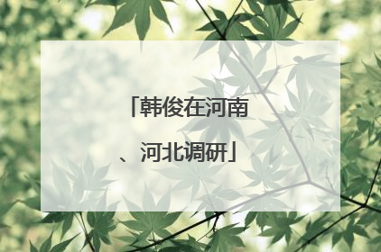 韩俊在河南、河北调研