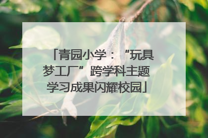 青园小学：“玩具梦工厂”跨学科主题学习成果闪耀校园