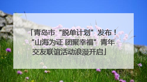 青岛市“脱单计划”发布！“山海为证 团聚幸福”青年交友联谊活动浪漫开启