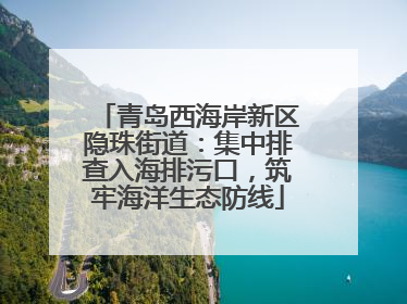 青岛西海岸新区隐珠街道：集中排查入海排污口，筑牢海洋生态防线