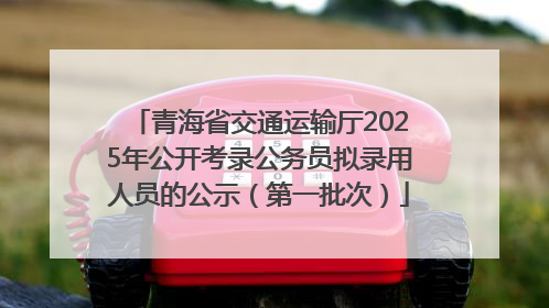 青海省交通运输厅2025年公开考录公务员拟录用人员的公示（第一批次）