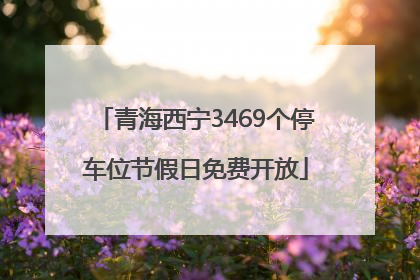 青海西宁3469个停车位节假日免费开放