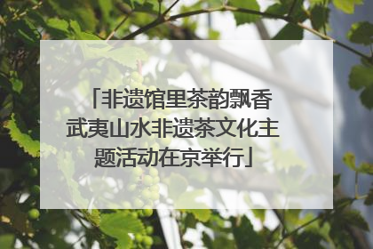 非遗馆里茶韵飘香 武夷山水非遗茶文化主题活动在京举行