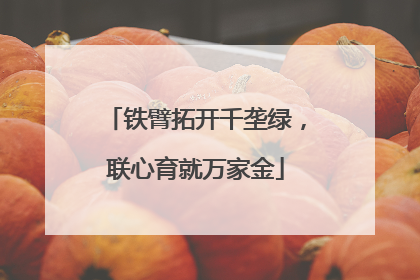 铁臂拓开千垄绿，联心育就万家金