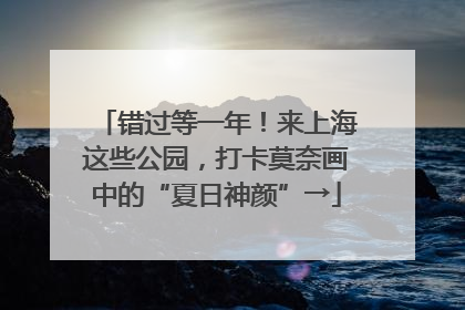 错过等一年！来上海这些公园，打卡莫奈画中的“夏日神颜”→