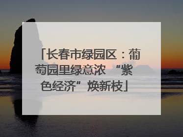 长春市绿园区：葡萄园里绿意浓 “紫色经济”焕新枝