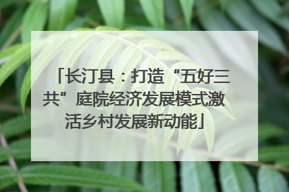 长汀县：打造“五好三共”庭院经济发展模式激活乡村发展新动能