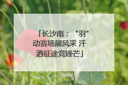 长沙南：“羽”动赛场展风采 汗洒征途竞锋芒