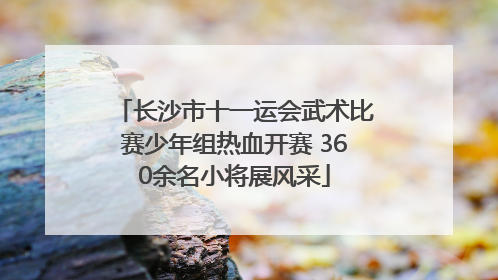 长沙市十一运会武术比赛少年组热血开赛 360余名小将展风采