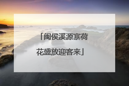 闽侯溪源寨荷花盛放迎客来