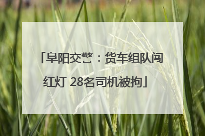 阜阳交警：货车组队闯红灯 28名司机被拘