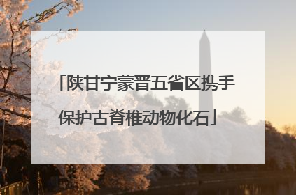 陕甘宁蒙晋五省区携手保护古脊椎动物化石