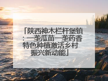 陕西神木栏杆堡镇：一垄瓜苗一垄药香 特色种植激活乡村振兴新动能