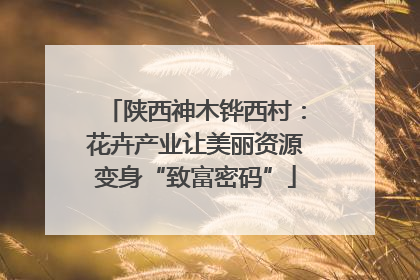 陕西神木铧西村：花卉产业让美丽资源变身“致富密码”