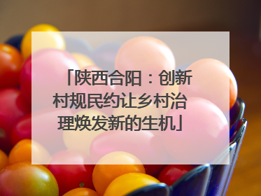 陕西合阳：创新村规民约让乡村治理焕发新的生机