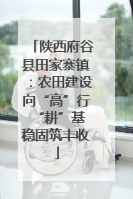 陕西府谷县田家寨镇：农田建设向“高”行 “耕”基稳固筑丰收