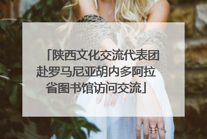 陕西文化交流代表团赴罗马尼亚胡内多阿拉省图书馆访问交流