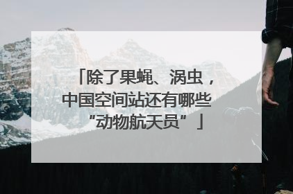 除了果蝇、涡虫，中国空间站还有哪些“动物航天员”