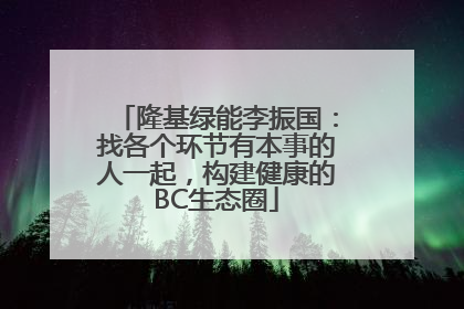 隆基绿能李振国：找各个环节有本事的人一起，构建健康的BC生态圈