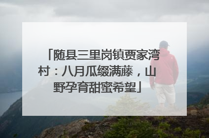 随县三里岗镇贾家湾村：八月瓜缀满藤，山野孕育甜蜜希望