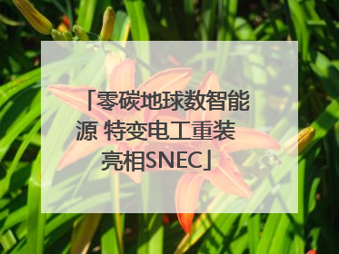 零碳地球数智能源 特变电工重装亮相SNEC