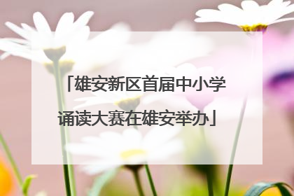 雄安新区首届中小学诵读大赛在雄安举办