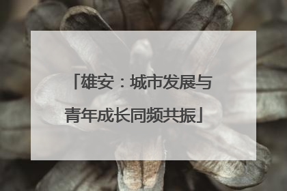 雄安：城市发展与青年成长同频共振