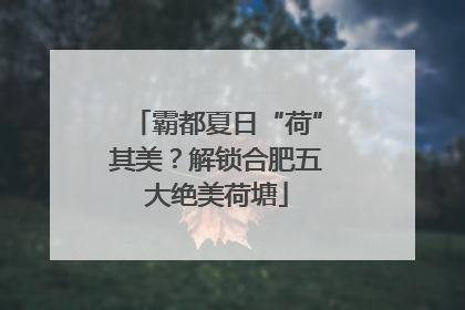 霸都夏日“荷”其美？解锁合肥五大绝美荷塘