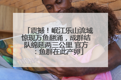 震撼！岷江乐山流域惊现万鱼翻涌，成群结队绵延两三公里 官方：鱼群在此产卵