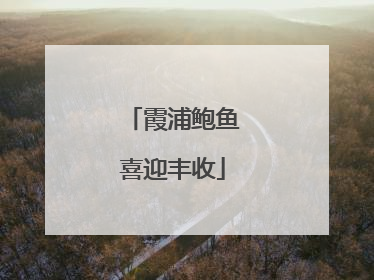 霞浦鲍鱼喜迎丰收