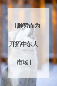 顺势而为开拓中东大市场