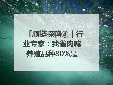 顺链探鸭④｜行业专家：我省肉鸭养殖品种80%是樱桃谷鸭