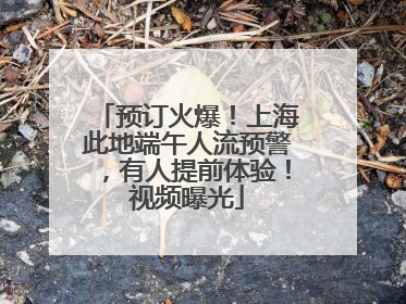 预订火爆！上海此地端午人流预警，有人提前体验！视频曝光